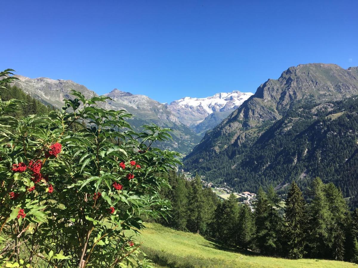 Baite Cialvrina Villa Gressoney-Saint-Jean Exterior photo